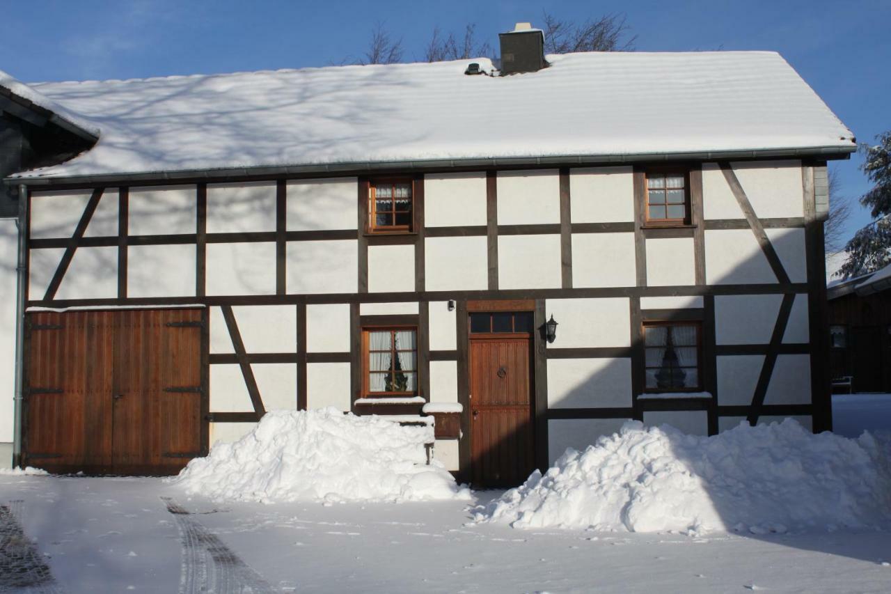 Apartment Haus Stein *